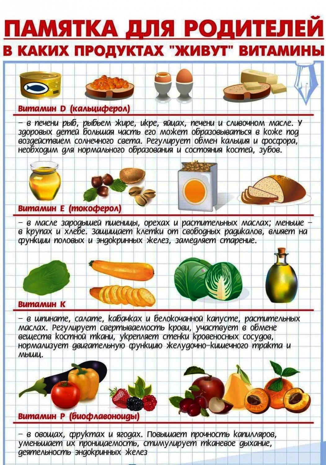 питание1